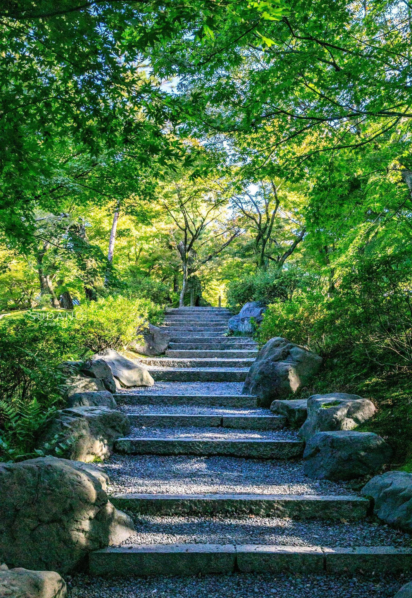 带你去日本"扫街":摄影小白也能变大神,一个超简单构图分享 - 钛度网